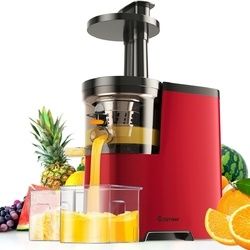 Slow Fruit Vegetable Masticating Juicer Cold Press Extractor